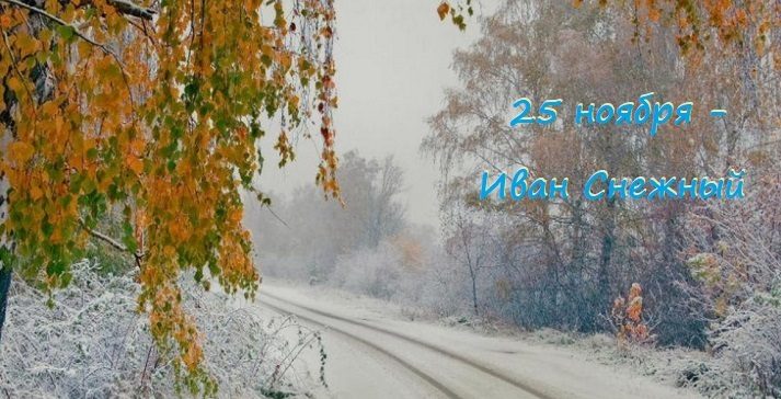 25 ноября 2020 года рождения. Смотреть фото 25 ноября 2020 года рождения. Смотреть картинку 25 ноября 2020 года рождения. Картинка про 25 ноября 2020 года рождения. Фото 25 ноября 2020 года рождения