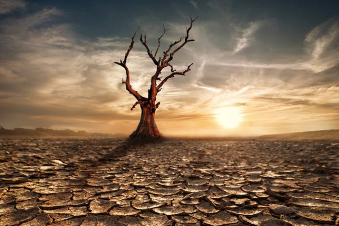 Во всем мире 17 июня отмечается Всемирный день по борьбе с опустыниванием