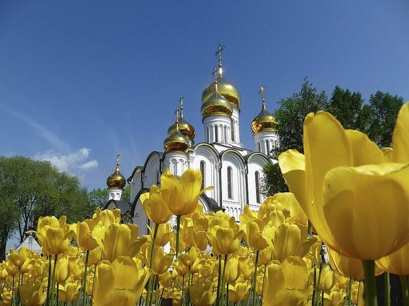 Славянские приметы на 19 мая 2023 года: что нужно делать по поверьям в день Иова Горошника