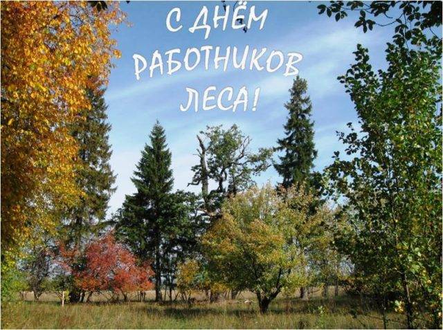 День лесника, 15 сентября 2022 года, отмечается с яркими поздравления в стихах, прозе и на открытках