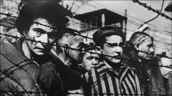 Освенцим: чем печально известен и сколько погибших насчитывают историки