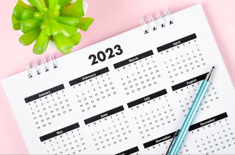 Выбрать благоприятный период для посева семян перца в 2023 году поможет лунный календарь