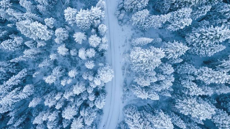Важные события, произошедшие в день 16 февраля в России