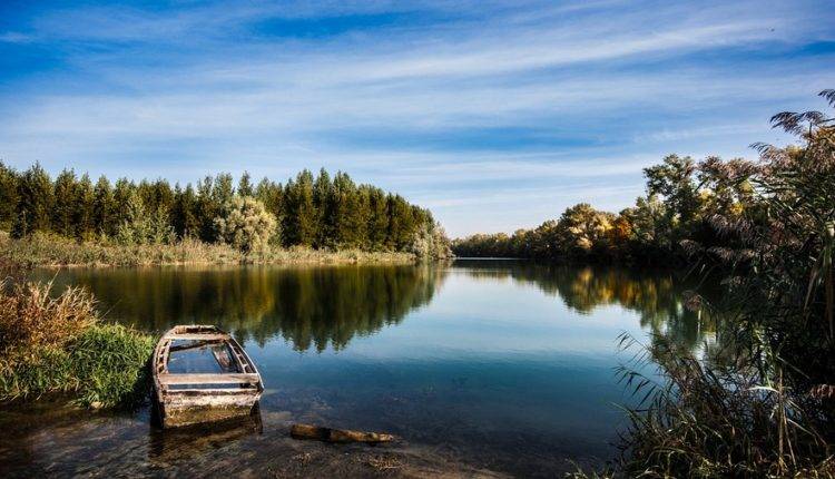 Единые дни действий в защиту малых рек и водоемов отмечают на территории России с 15 мая 2022 года