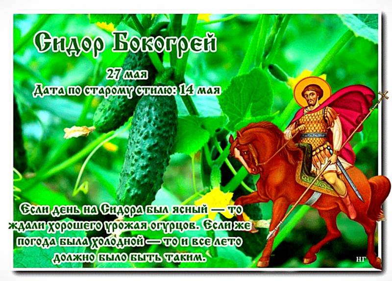 День Сидора Бокогрея отмечают 27 мая по народному календарю, приметы и запреты этого праздника