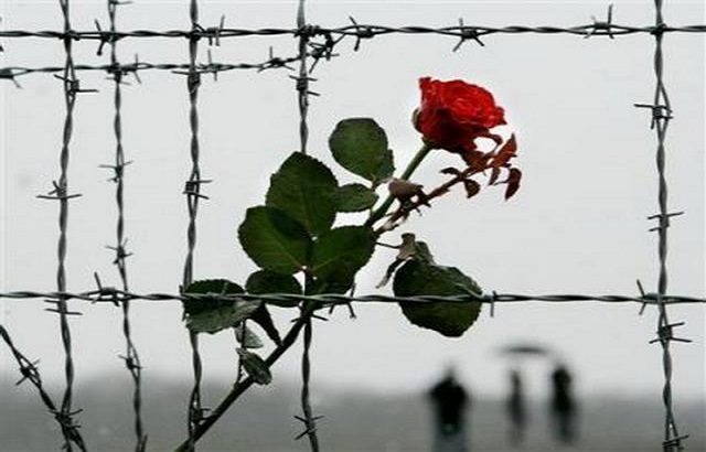 Международный день памяти жертв фашизма и другие праздники отмечают 13 сентября 2023 года
