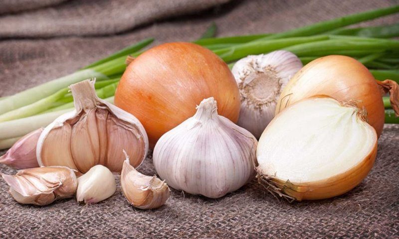 после каких культур можно садить чеснок под зиму и лук. Смотреть фото после каких культур можно садить чеснок под зиму и лук. Смотреть картинку после каких культур можно садить чеснок под зиму и лук. Картинка про после каких культур можно садить чеснок под зиму и лук. Фото после каких культур можно садить чеснок под зиму и лук