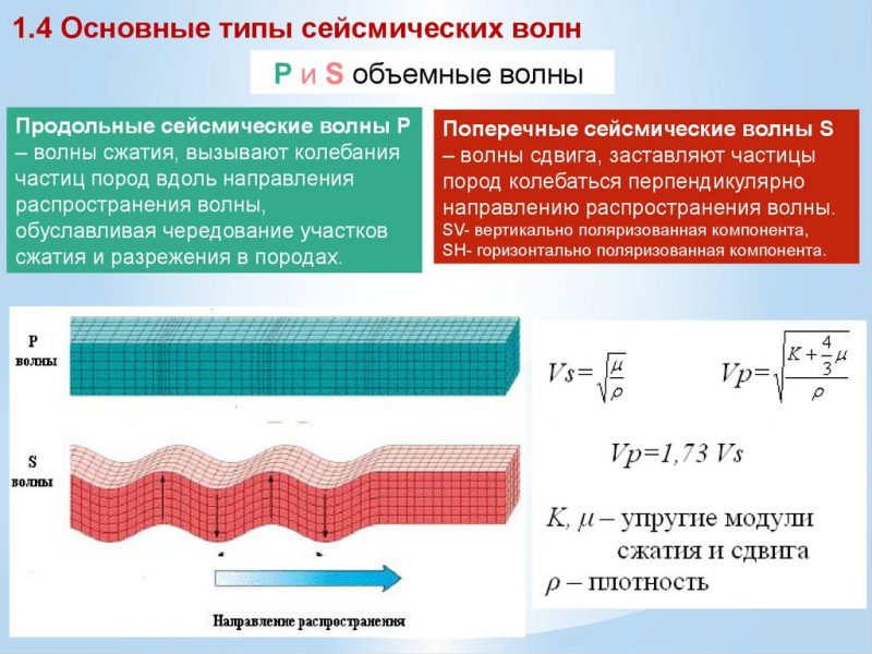 Какой тип сейсмических волн показан на рисунке
