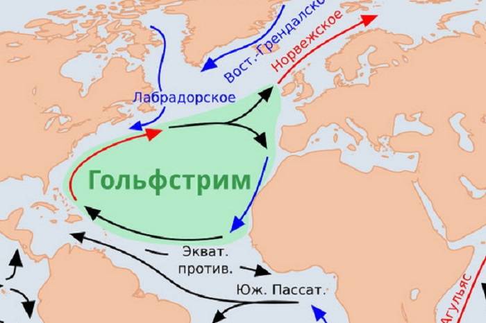 Схема течения гольфстрим