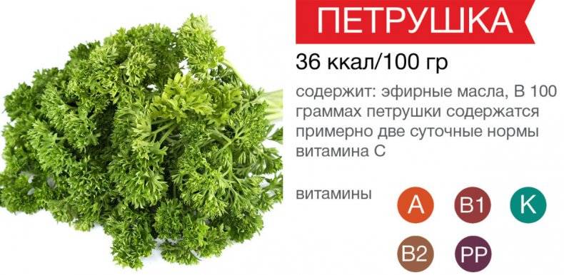 можно ли выращивать петрушку на даче кудрявую. poleznaya petrushka. можно ли выращивать петрушку на даче кудрявую фото. можно ли выращивать петрушку на даче кудрявую-poleznaya petrushka. картинка можно ли выращивать петрушку на даче кудрявую. картинка poleznaya petrushka. Почему кудрявую петрушки прировняли к наркотическим веществам и можно ли выращивать кудрявую петрушку на даче? Попадают ли в наркодиспансеры и что делать, если вы хотите заняться разведением такого «спорного» растения? Давайте разбираться, почему запретили выращивать петрушку на даче.