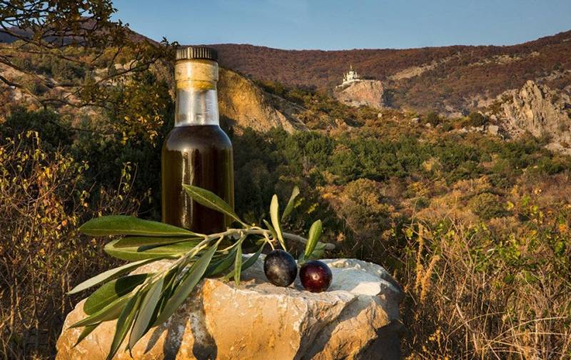 Как доставить оливковое масло в больших количествах из Испании
