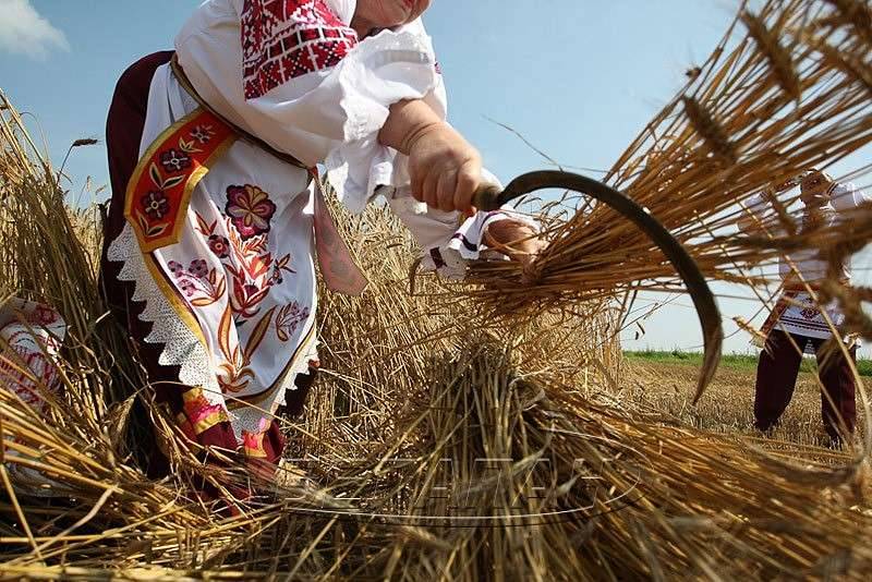 Почитать память Прокопия Жнеца в народе принято 21 июля