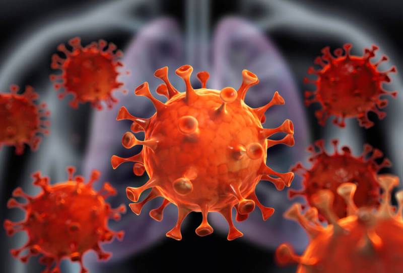 ученые узнали на какие сутки коронавирус погибает в организме человека.png