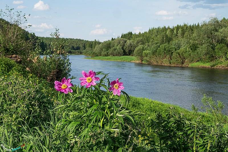 Церковный и народный праздник