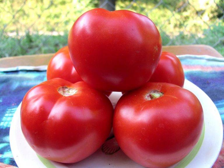 Как вырастить крупные вкусные помидоры, маленькие хитрости для дачников-огородников