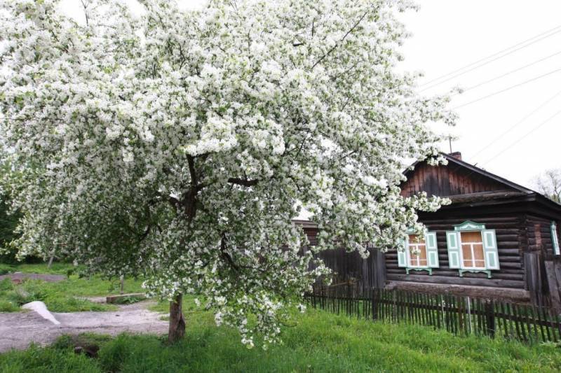 Церковный и народный праздник 20 мая: какой отмечают, традиции, приметы и запреты