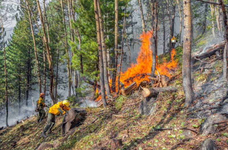 Лесные пожары в России 2022, какая ситуация сегодня