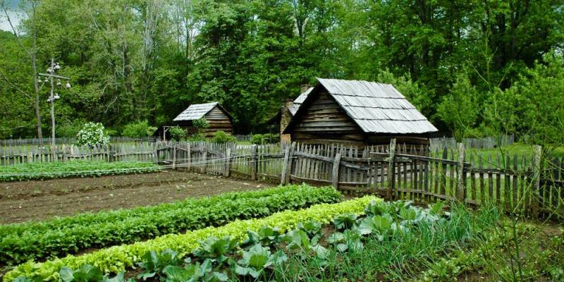 Новый крупный штраф для дачников РФ