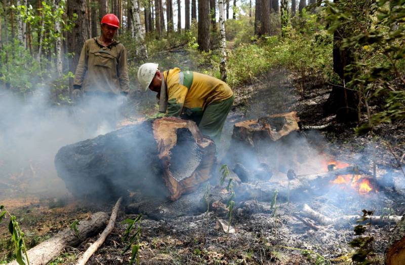 Россия в огне: лесные пожары продолжают распространятся по территории страны