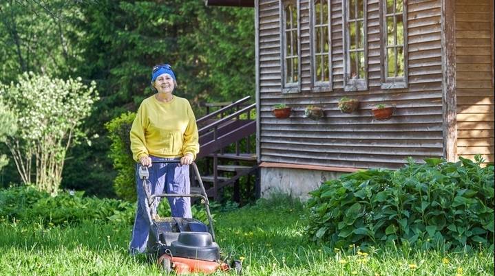 Как называется дачная амнистия и каковы требования и шаги для регистрации дома?