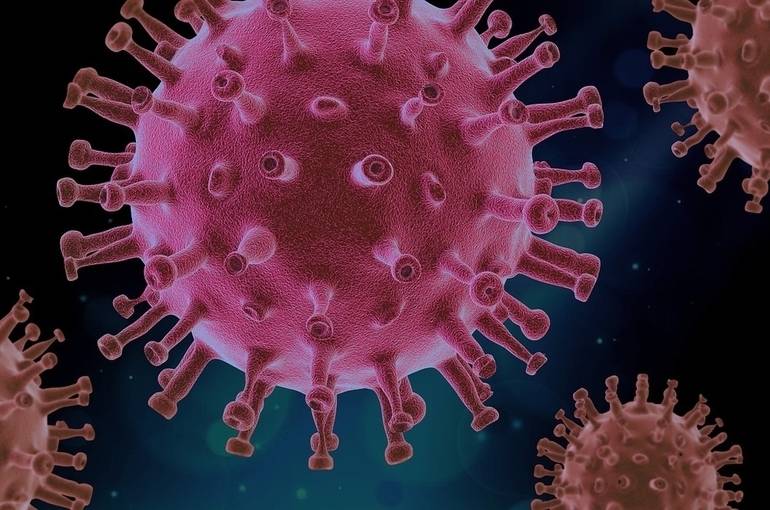 Марбургский вирус проявил свою 100% летальность, что это за болезнь