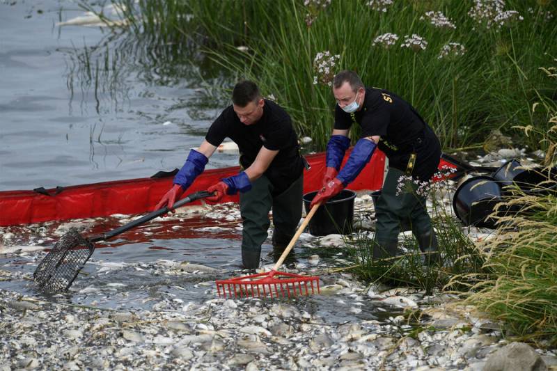 Почему Польша молчала 2 недели о катастрофе на реке Одр, - Германия