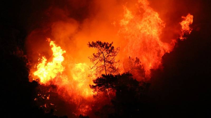 Что известно о пожарах в Курганской, Тюменской, Свердловской областях