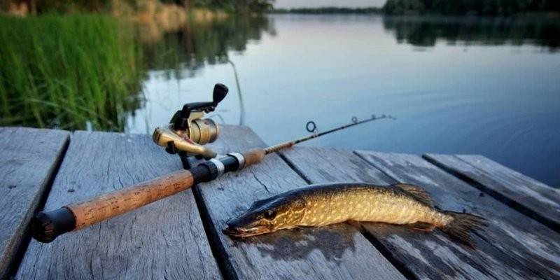 В некоторых регионах РФ ввели запрет на рыбалку
