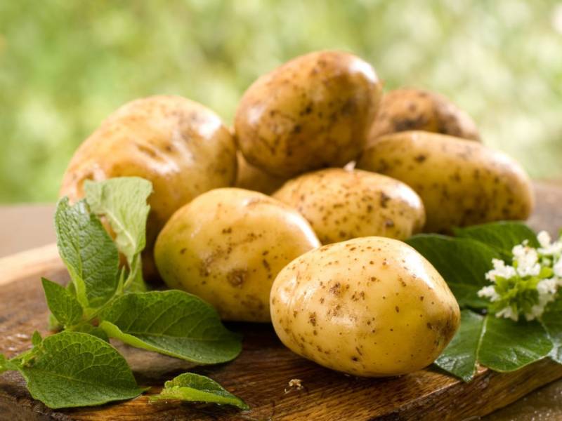 Готовка в удовольствие: назван быстрый способ очистки ведра молодого картофеля за 5 секунд