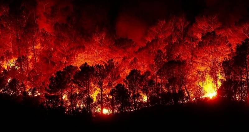 Пламя неумолимо: разбираемся с лесными пожарами в Якутии и на Колыме