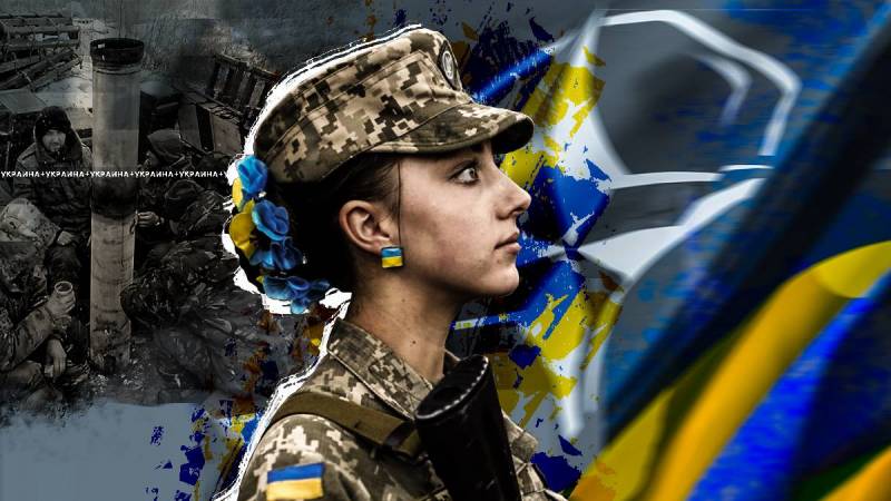Если НАТО введет войска в Украину, то США обязаны покинуть Альянс, — сенатор Ли