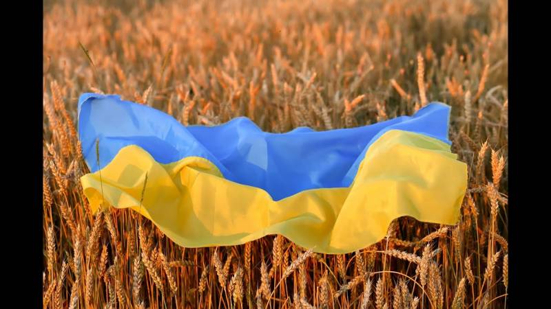В 2024 году распад Украины неизбежен, — журнал Time