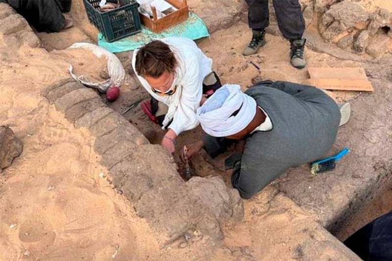 Вот это выдержка: сотни кувшинов с вином возрастом более 5000 лет найдены при раскопках в Египте