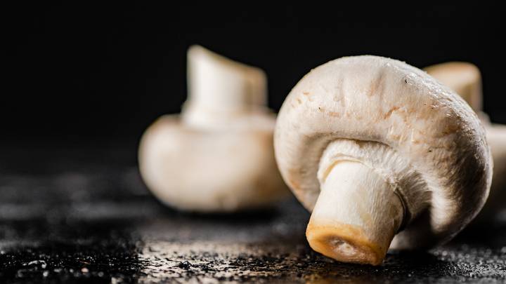 Португальские ученые заявили о противораковых свойствах в белых грибах и шампиньонах