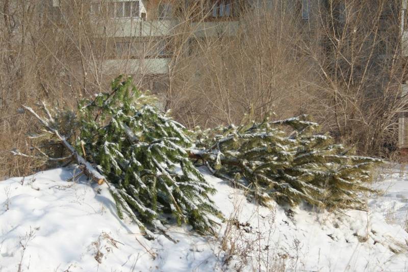 утилизация елки