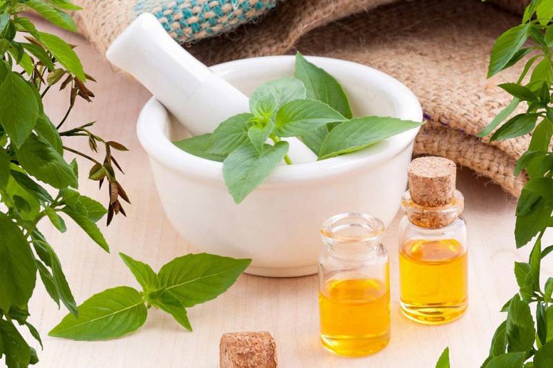 FP: Ученые обнаружили природный антибиотик, способный заменить привычные лекарства